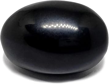 SATVIK 1 Pc Shaligram Stone for Daily Puja | Natural Black Shila for Vishnu Worship | Sacred Spiritual Stone for Home Temple