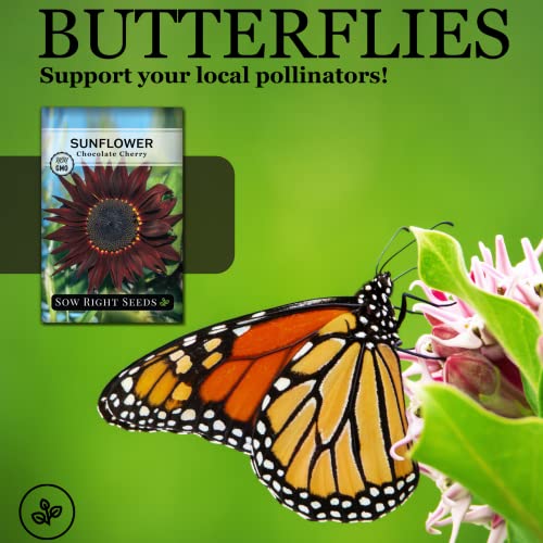 Sow Right Seeds - Chocolate Cherry Sunflower Seeds For Planting - Non-Gmo Heirloom Packet With Instructions To Plant A Home Vegetable Garden #TOP2
