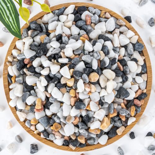 Sukh Mixed Color Pebbles for Succulent and Cactus - 420G 1/5 Inch Succulent Cactus Gravel Pebbles Natural Decorative Polished River Stones Small Rocks for Outdoor Gardening Vases Landscaping Fish Tank