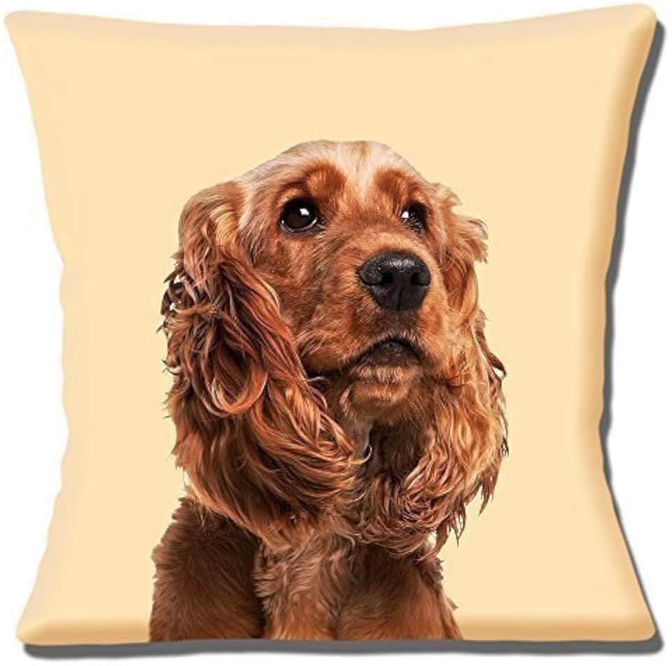 Amazon.co.uk Cushions Corner