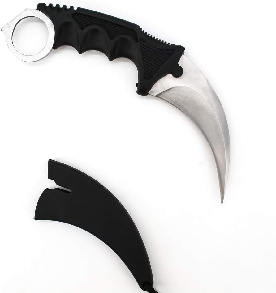 WeTop Karambit Knife, CS-GO for Hunting Camping Fishing and Field Survival, Stainless Steel Fixed Blade Tactical Knife with Sheath and Cord (Silver).