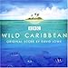 Price comparison product image Wild Caribbean - Original Music By David Lowe