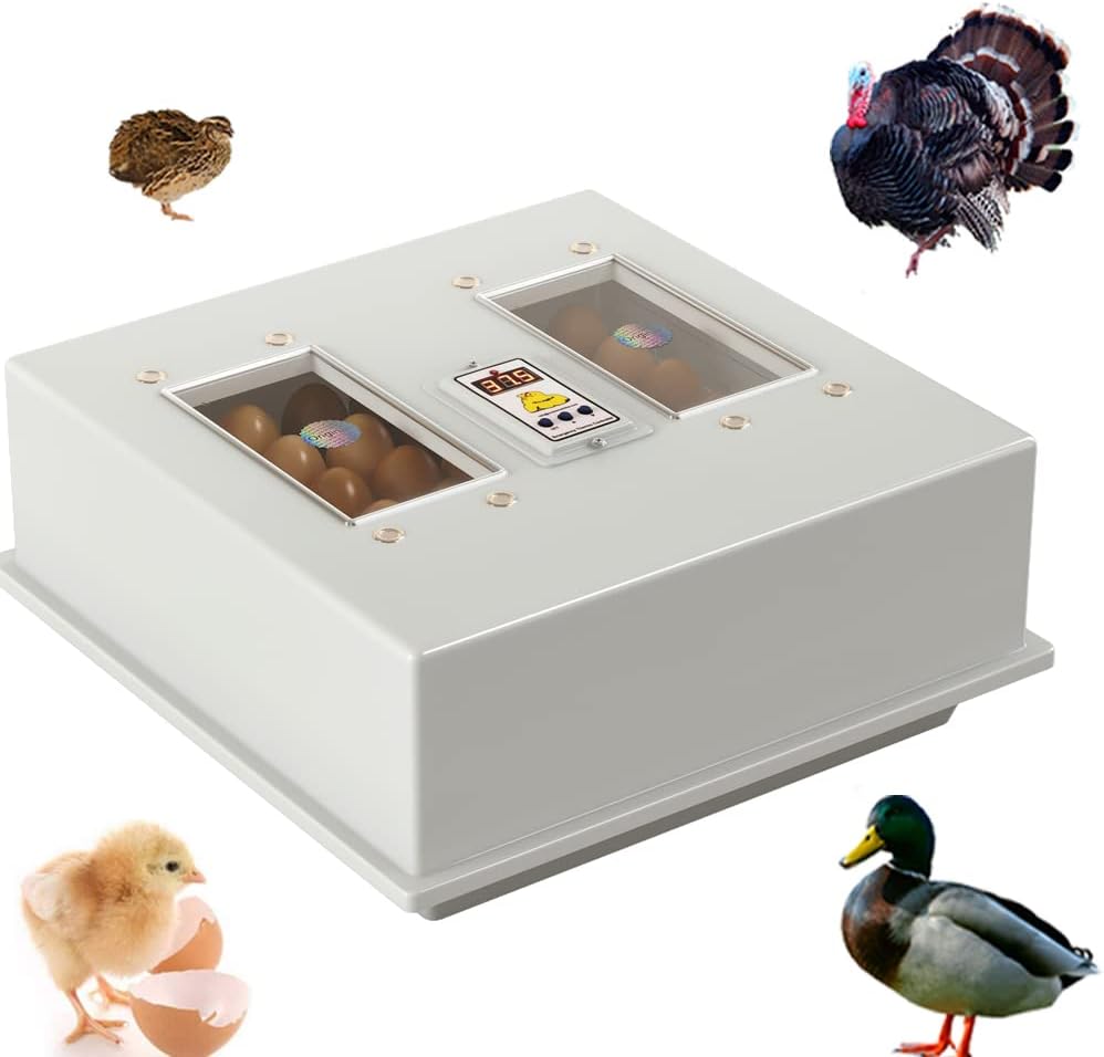 Digital Household Egg Incubator, 64 Eggs, 27Mm Body Thickness, Double Layer, White, Hhc1000