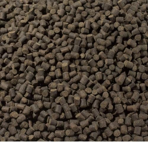Mangime per Carpe Koi 4mm – Pellet affondante per koi adulte con 41% proteine e farine di pesce – Crescita, colore e salute – Confezione risparmio da 2,5Kg per stagni e laghetti