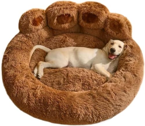 Vilom^芰錢pxbhBۉt[Xœ~gA\t@̂悤ȔwŃbNXBʋCfނňNKB􂦂Jo[ŐۂĂÂ߂̂났ԂłB (a90cm,A)