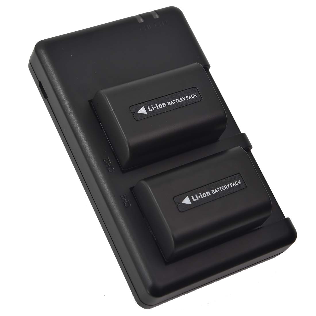 DSTE Juego de 2 baterías de Repuesto NP-FV50 + Cargador Dual USB Compatible con Sony HDR-PJ340 HDR-PJ350E HDR-PJ380 HDR-PJ430V HDR-PJ510E HDR-PJ540 HDR-PJ580E HDR-PJ600E