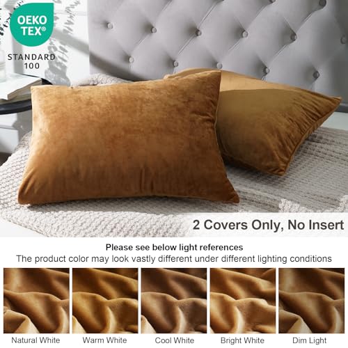 Phf Super Soft Velvet Pillowcases Standard Size, No Insert, 2 Pack Luxury Cozy Warm Pillow Shams Covers With Envelope Closure thumb #2