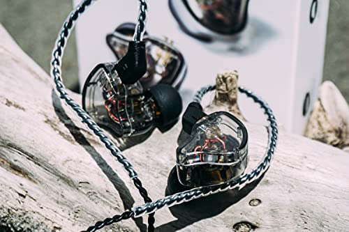 Image of Yinyoo CCZ Melody 10mm Dual Magnetic Circuit In-Ear IEM Headphone, Earfins Design HiFi Deep Bass Earphone with 2PIN Detachable Cable for Audiophile(Black mic)