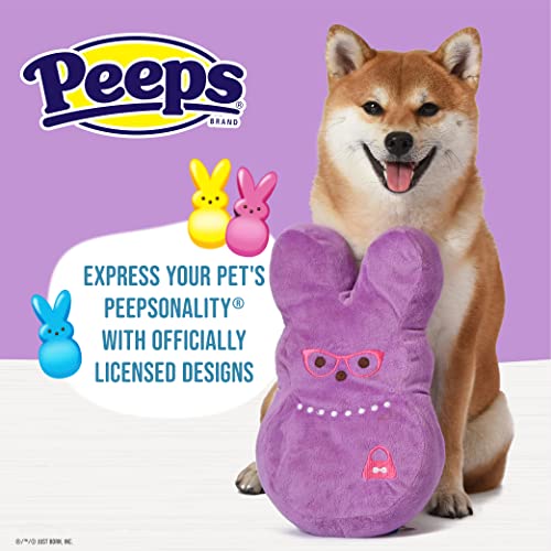 Juguete de peluche Bunny 12 pulgadas para perros miniatura 3
