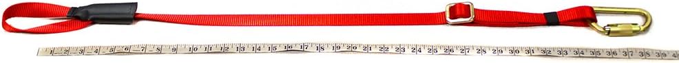 Fusion Climb 38" x 1" Lanyard with Double Locking High Strength Steel Carabiner Red : Sports & Outdoors