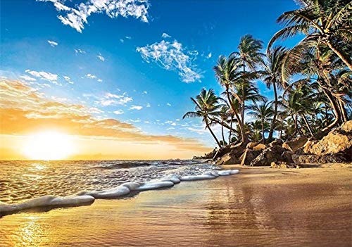 Beach coconut tree DIY 5D Diamond Painting Kits for Adults Kids Wall Hanging Painting Heart Gift Diamond dotz Paint by Numbers for Adults(35X45CM)