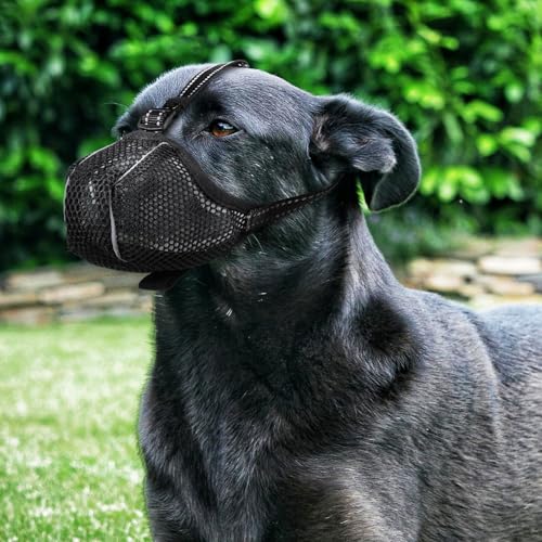 VICASKY Netzmaulkorb für Hunde Verstellbarer Beisschutz aus Meshgewebe Atmungsaktiv und Komfortabel zum Schutz vor Kauen und Beißen Wiederverwendbar und Einfach zu Reinigen