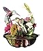 Santoro Pirouettes Hummingbirds 3D Pop up Card