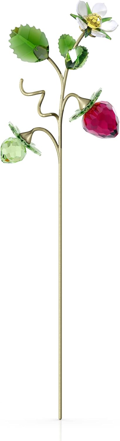 Amazon.co.jp: Swarovski Garden Tales, Crystal, Crystal : Clothing