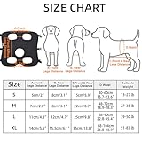 Duuclume Hunde-Hebegeschirr, Notfall-Rucksack-Haustier-Bein-Unterstützung & Rehabilitation Hunde-Sling-Träger, Verstellbare Hebegurte Hunde-Träger für Senioren Alte Hunde Gelenkverletzungen Arthritis