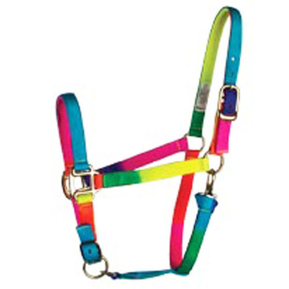 Aime Imports Deluxe Rainbow Adjustable Nylon Halter with Snap
