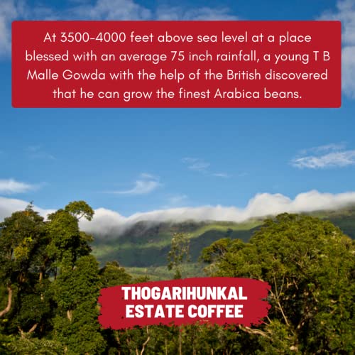 Image of Thogarihunkal Estate Coffee | Toffee Coffee Roasters | Single Origin Coffee | 100% Arabica | Medium Roast | Grounded Coffee Notes: Citrus and Orange Blossom (Decoction Coffee Maker, 500)