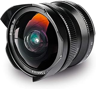 Brightin Star 7.5mm F2.8 Ultra Wide-Angle Fisheye Manual Focus APS-C DSLR Mirrorless Camera Lens, Fit for Sony Alpha ZV-E10, A7IV, A6400, A7II, A7SIII, A7III, A7C, A6600, A6100, A7RIV, A6000, A7RIII