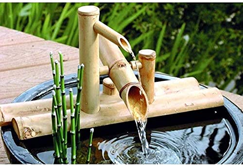 |̑̃̕̕|vtĂ̑̑̉O̓{뉀̓ (40cm)