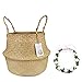 Seagrass Basket, Belly Basket for Fiddle Leaf Home Decoration Plant Pot Cover by Qliwa