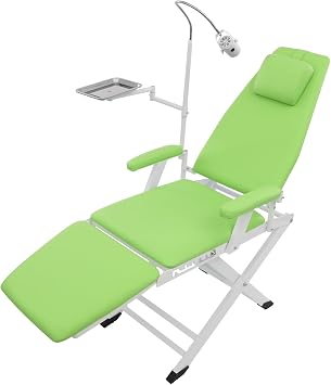 Portable Dental Chair with 360 Rotatable LED Light, Multi-Purpose Tattoo Facial Treatment Bed, 4-Gear Height Adjustable Patient Chair for Clinic Salon Use