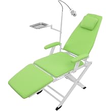 Portable Dental Chair with 360 Rotatable LED Light, Multi-Purpose Tattoo Facial Treatment Bed, 4-Gear Height Adjustable Patient Chair for Clinic Salon Use