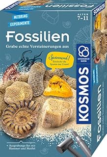Fossilien: Experimentierkasten