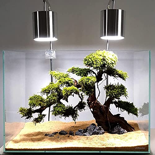 Image of Allcolor Artisan Grade Ultra Clear Rimless Aquarium Tank, Low Iron Glass Fish Tank for Professional Aquascaping and Planted Layouts, 6-60 Gallons (10GaI - Top Glass Canopy)