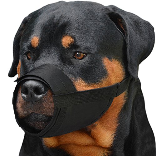 Collardirect 2-Pcs Set Dog Muzzles - Adjustable Soft Breathable Nylon Dog Mouth Guard Cover For Small, Medium And Large Dogs, Anti Chewing, Barking & Biting (2 Black; L/Xl (2 Count)) #TOP1