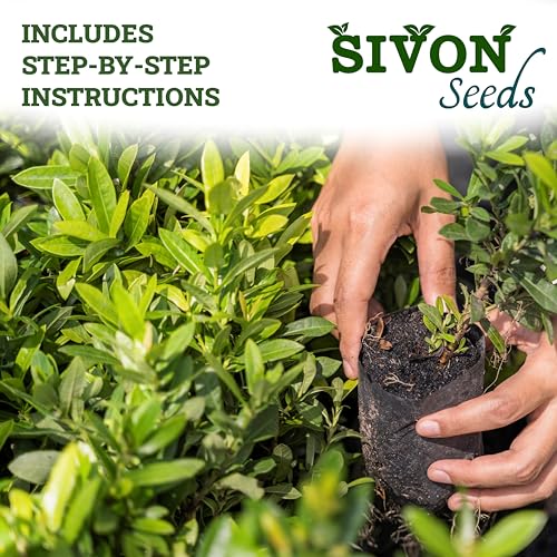 Image of SIVON Vegetable Seeds Combo For Your Home Garden 45 Varieties (2000 Seeds)+Garden Tools Set of 5 + Coco Peat Brick(Expands upto 5 Kg)&Germination Tray(49 Holes)