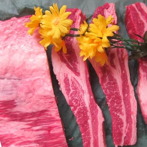 slice ladyu~苍o5kgʁvAKXAUSAYXe[LAēp