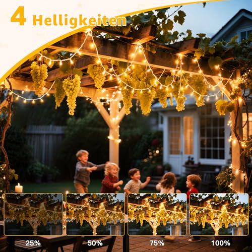 Ollny Lichterkette außen, 80 M 800 Led Lichterkette innen warmweiß, 8 Modi Lichterkette Lang mit Fernbedienung Timer, IP44 wasserdicht außen und innen für Hochzeit Ostern Garten