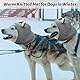 FainFun Hundemütze Winter für Mittelgroßen Hunde, Hunde Mütze, Hund Wintermütze, Einheitsgröße, Hält warm und reduziert Lärm, Wintermütze mit Hund (grau)