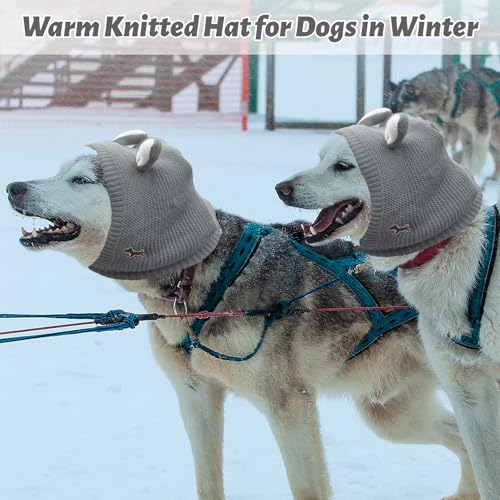 FainFun Hundemütze Winter für Mittelgroßen Hunde, Hunde Mütze, Hund Wintermütze, Einheitsgröße, Hält warm und reduziert Lärm, Wintermütze mit Hund (grau)