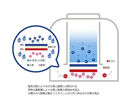 Amazon | 日省エンジニアリング 吸入用水素ガス生成器 「Vital Share