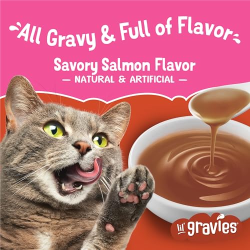 Purina Friskies Lil Gravies Cat Food Complement, (16) 1.55 oz Pouches | Savory Salmon Flavor lickable cat treat, gravy topper for kibble or a tasty snack, no artificial colors or preservatives - image 2