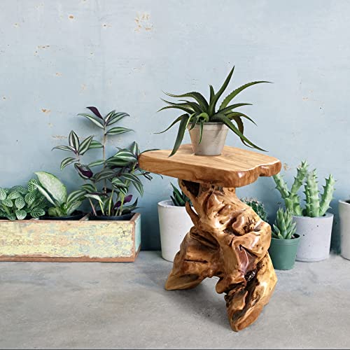 Warmaxx WARMPLANTST Natural Irregular Shape Tree Stump End Table Plant Stand 14"X13"X18"H Solid Cedar Wood Outdoor Rustic Sit Foot Stools Live Edge Coffee Side Table Living Room Bedroom Outdoor Garden thumb #7