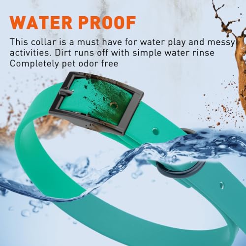 Image of Dogline Biothane Waterproof Dog Collar Strong Coated Nylon Webbing with Black Hardware Odor- Proof for Easy Care Easy to Clean High Performance Fits Small Medium or Large Dogs, Teal