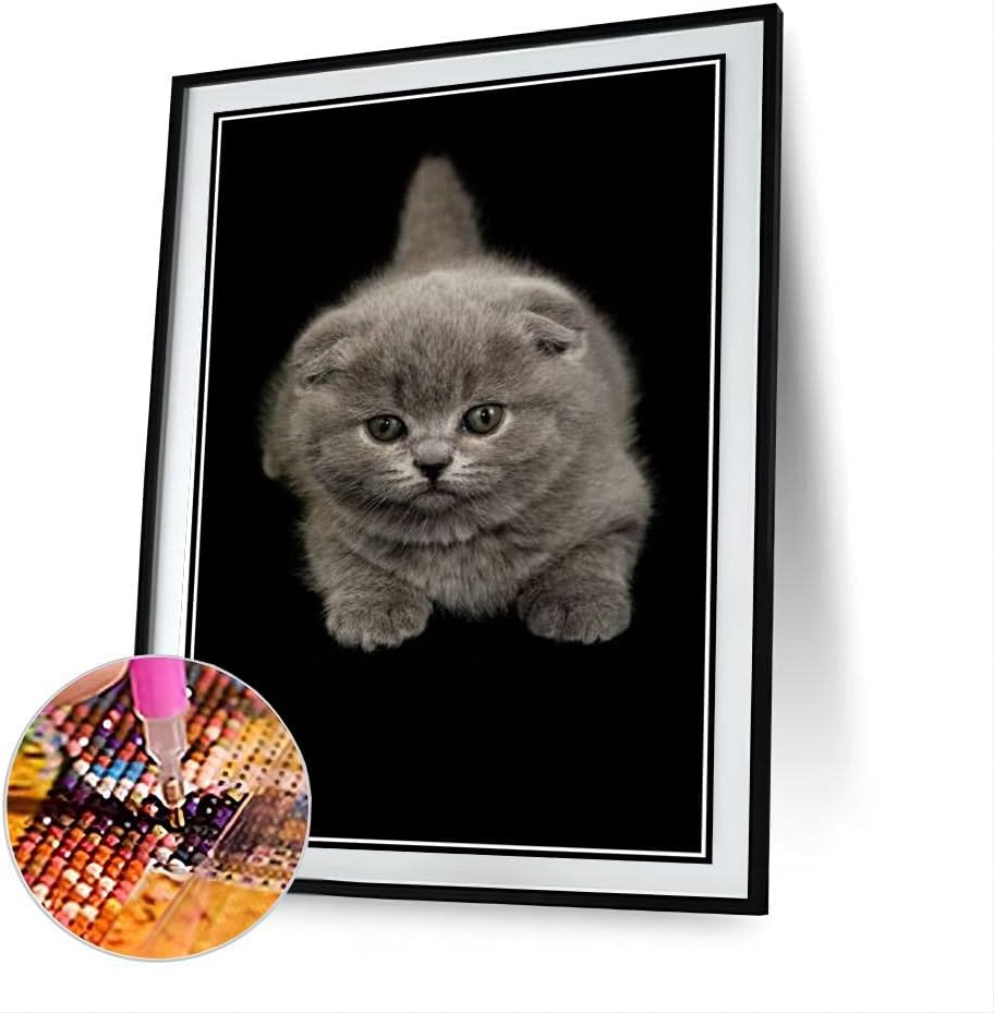Scottish Fold Cute Pet Cat Animal Diamond Painting Kits for Adults, 5D Crystal Diamonds Art with Accessories Tools, Picture DIY Art Craft for Home Décor Gift