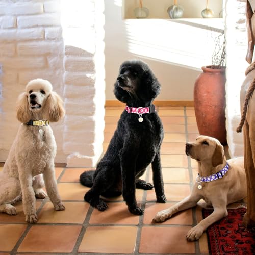 BiPawTi Süßes Hundehalsband Mittelgroße Hunde - Weiches, Verstellbares Halsband mit Margeritenanhänger & Hübsches Blumen Margeritenmuster - Lila Hundehalsband für Mittlere Hunde, M