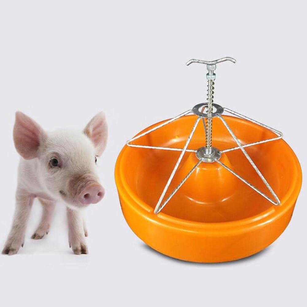 Ciotola for Mangime for AnimaliMini Mangiatoia for Maiale, Ciotola for Mangime for Bestiame, Mangiatoia for Maiale a 5 Scomparti, Durevole Strumento for l'Alimentazione del Bestiame di Pollame for Ani