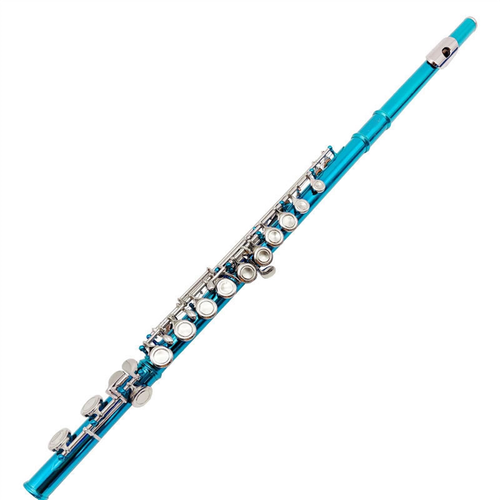 Flauto da studente Chiave C A 16 Fori Chiave E Flauto A Foro Chiuso Blu Viola Ciano Flauto Gli Studenti Principianti Praticano Uno Strumento Musicale (Color : Green 16 closed cells)