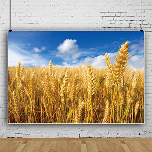 Ttincceer 300x250cm Golden Wheat Field Backdrop Crops Ripe Wheat Blue Sky White Clouds Photography Background Thanksgiving Theme Party Decoration Background - Image 3