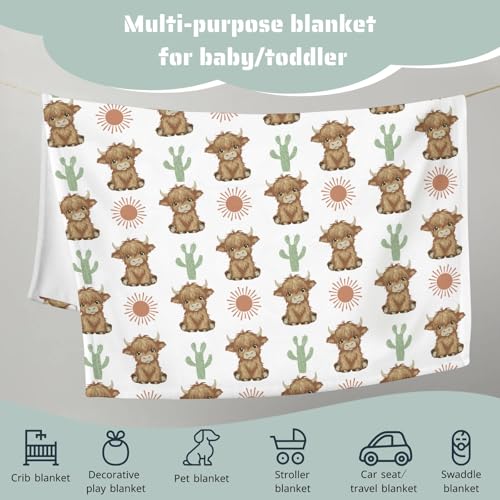 Image of HawSkgFub Boho Highland Cow Cactus Sun Baby Blankets Boy Girl Shower Gift, Western Flannel Fleece Nursery Bed Receiving Swaddle, Soft Warm Lightweight Newborn Infant Toddler Kids Crib Bedding 30 x 40