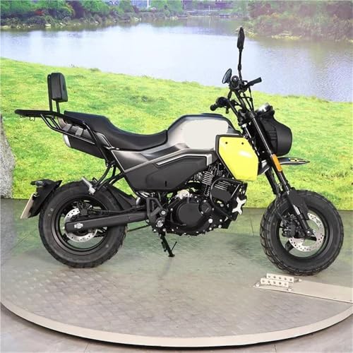 Modification porte-bagages aile arrière avec dossier Papio XO-2 - 3
