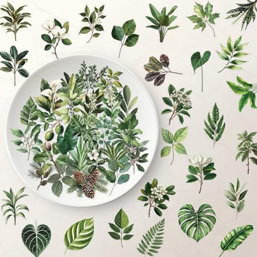Canollo 50 Stück Grün Pflanzen Aufkleber, Pflanzen Scrapbooking Aufkleber, Mini Größe Natur Blattaufkleber, Pflanze Dekorative Sticker für Fotoalbum, Sammelalbum, Laptops, Handyhüllen