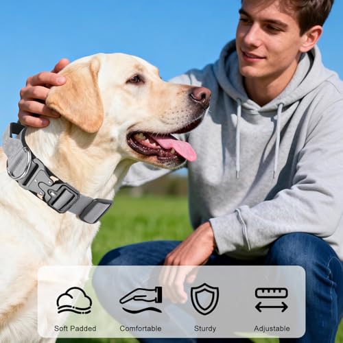 Ledeak Taktisches Hundehalsband mit Griff, Weich Gepolstert Verstellbares Hunde Halsband, Nylon Breit Trainings Halsband, Robuster Dog Collar mit Metallschnalle für Mittlere Große Hunde (Grau, XL)