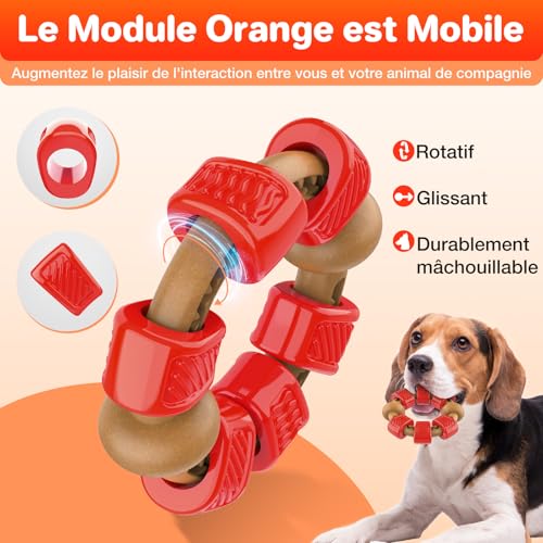 Photo complémentaire