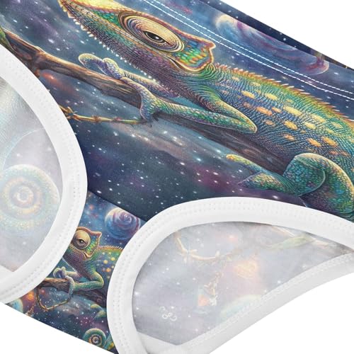 Cute Chameleon Night Starry Toddler Girls's Underwear 2T 202b87513