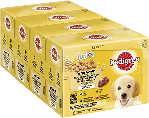Pedigree Júnior Comida para Perros Vital Protection para Cachorros, 48 porciones, 12 x 100 g (4 Unidades) – Comida húmeda para Perros en 4 variedades en gelatina con Pollo, Vaca, Aves, Cordero